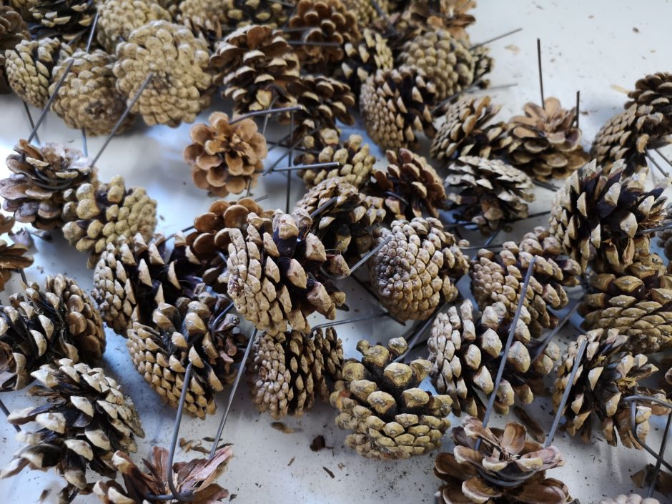 Aktuelles